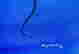 item-117183638=3
