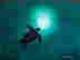 item-119825059=2