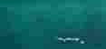 item-119825059=3