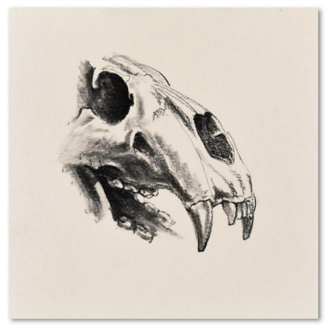 Charles Lynn Bragg, "Polar Bear Skull" Original (1 of 3)
