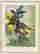 item-127524057=2