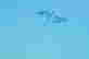 item-128944801=4