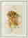 item-131593701=2