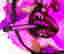 item-131780319=2