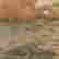 item-134245368=2