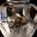 item-137054551=2