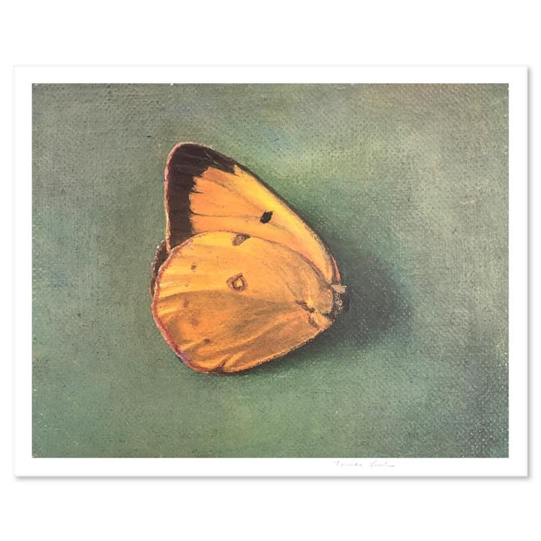 Tomar Levine, "Single Butterfly" Limited Edition Lithograph, Numbered and Hand Signed with Letter of (1 of 2)