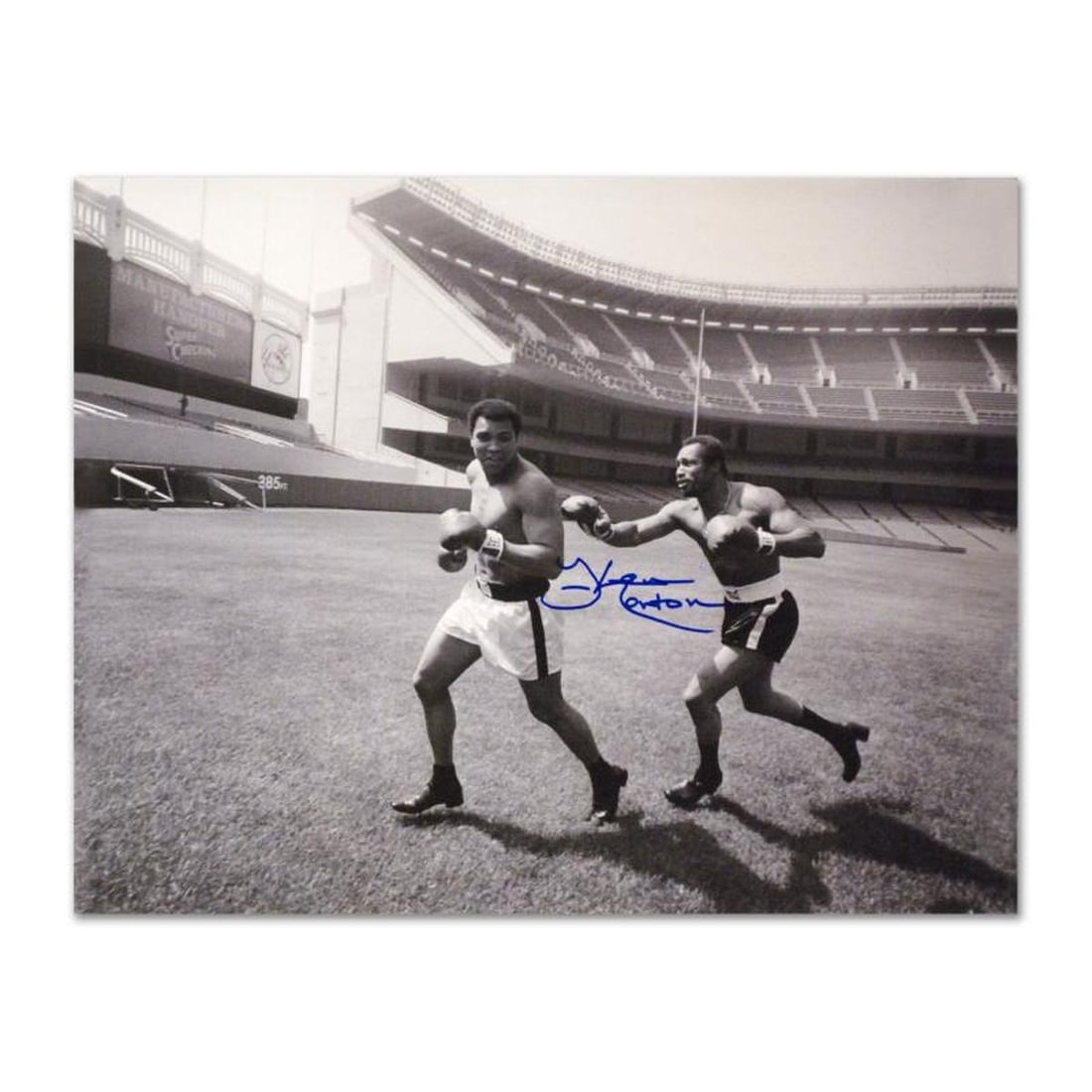 Ken Norton and Ali, Yankee Stadium Sports Collectible Hand-Signed by Ken Norton (1943-2013) with: Perfect for any boxing enthusiast, "Ken Norton and Ali, Yankee Stadium" commemorates the world-famous boxing matches between Ken Norton and Muhammad Ali. This photograph is hand-autographed by multi-t