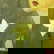 item-210506316=2
