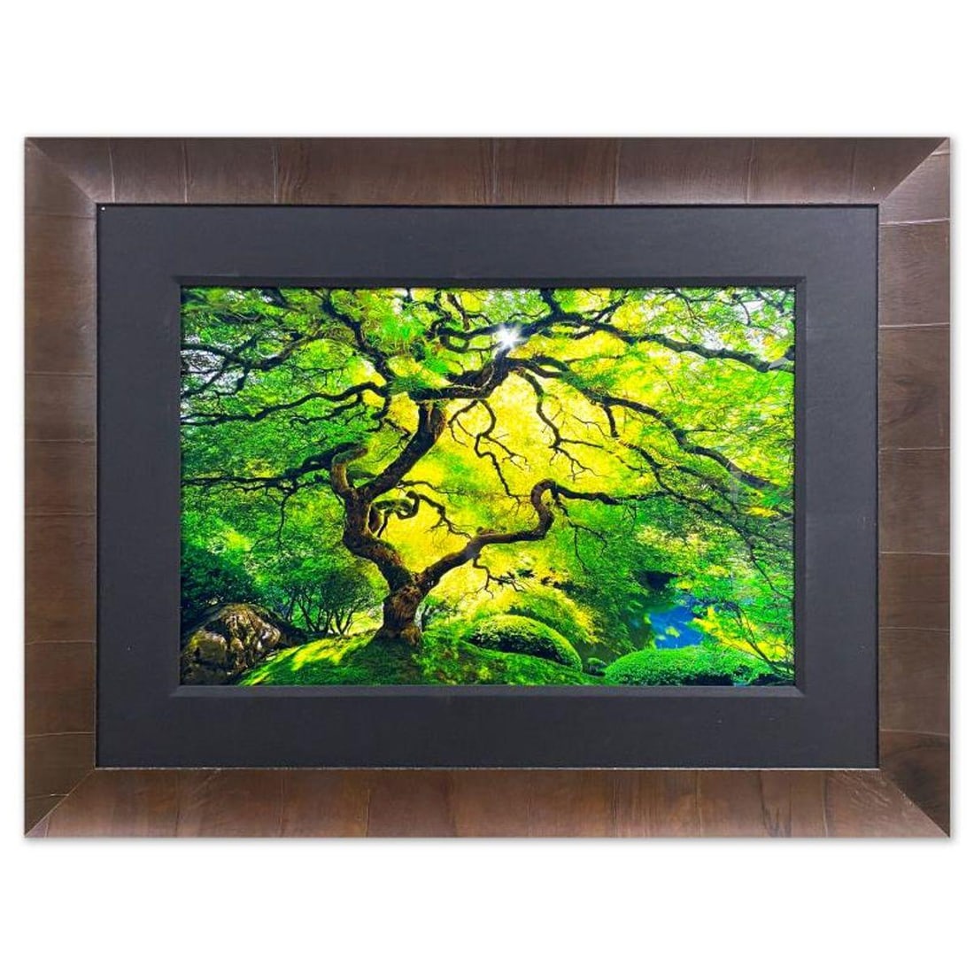 Peter Lik, "Inner Peace" Framed Limited Edition Photograph, Numbered 12/950 and Hand Signed with (1 of 2)