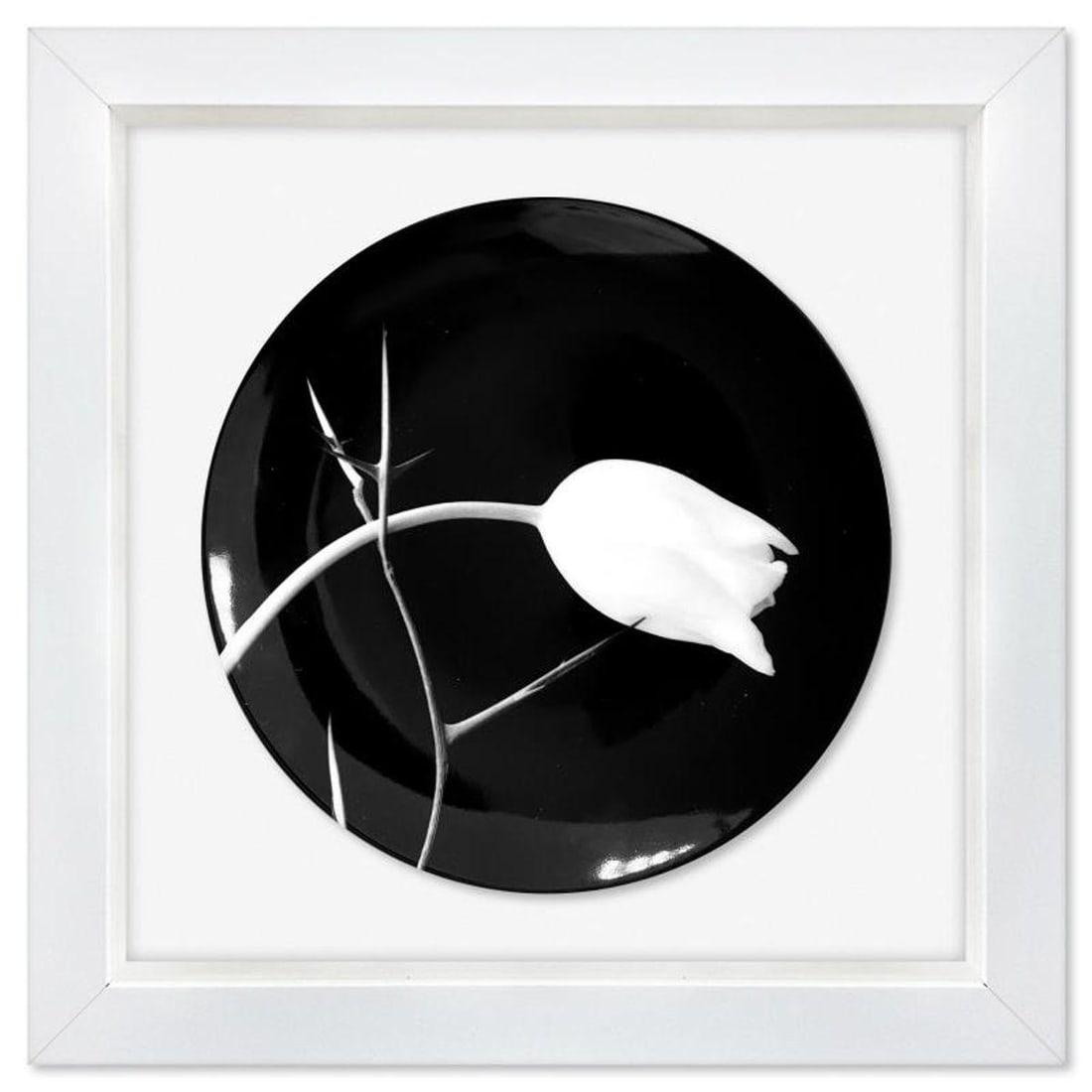 Robert Mapplethorpe (1946-1989), "Tulip (1988)" Framed Limoges Porcelain Plate. (1 of 2)