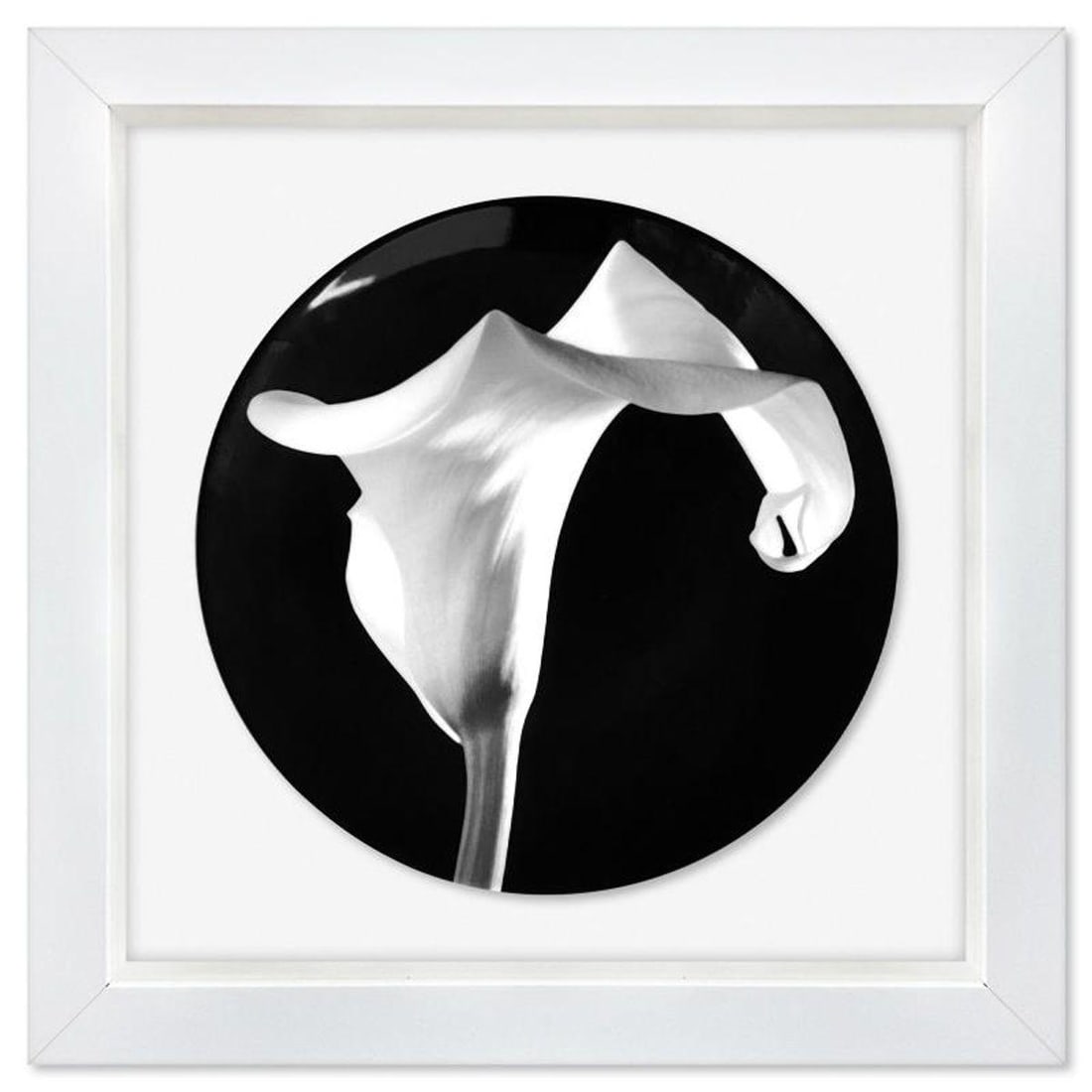 Robert Mapplethorpe (1946-1989), "Calla Lily (1988)" Framed Limoges Porcelain Plate. (1 of 2)