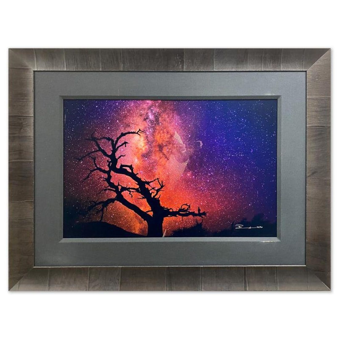 Peter Lik, "Tree of the Universe" Framed Limited Edition Photograph, Numbered 282/950 and Hand: Tree of the Universe is a limited edition photograph on archival grade photographic paper by Peter Lik, numbered 282/950 and hand signed by the artist. Includes Letter of Authenticity. Measures approx