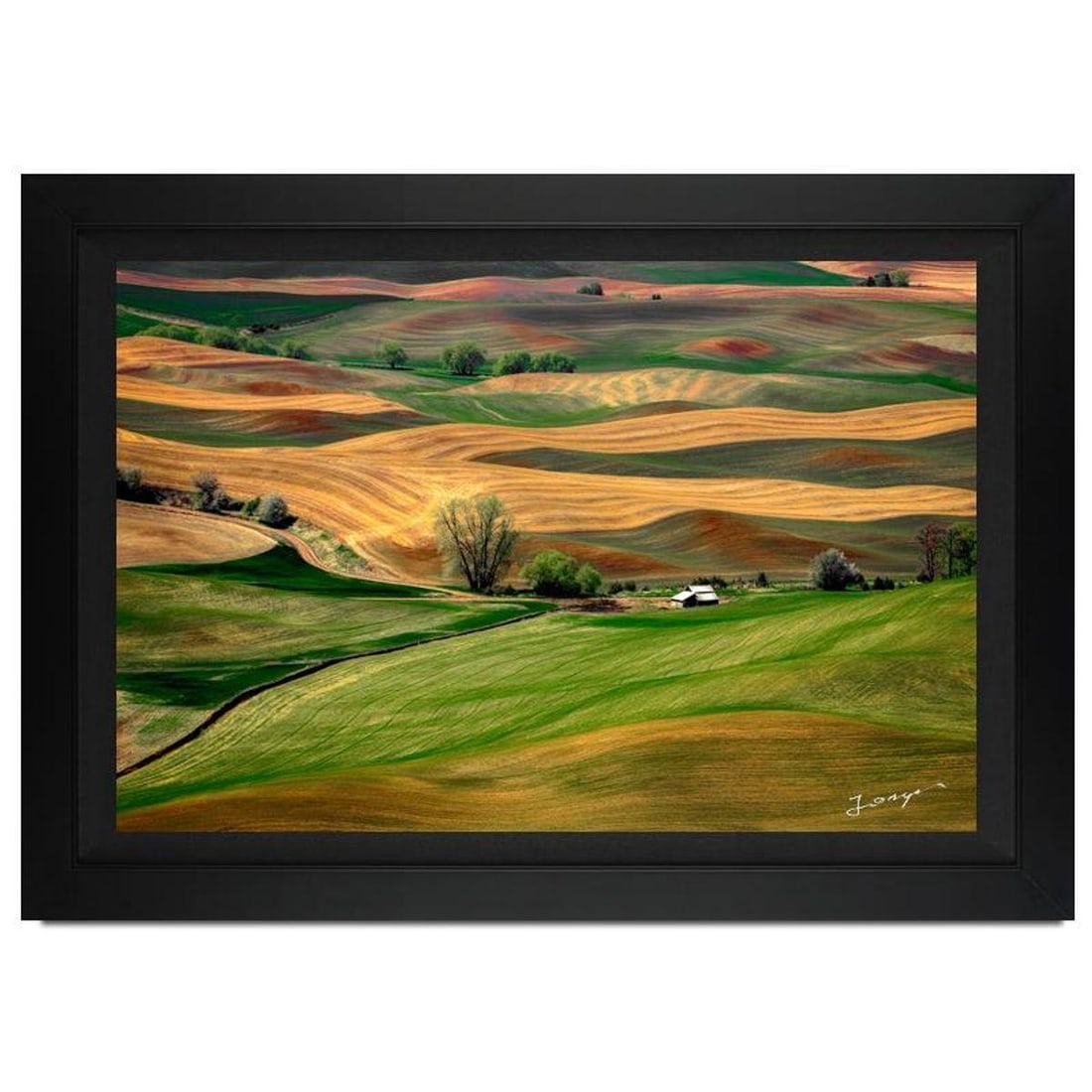 Jongas, "Countryside" Framed Limited Edition Photograph on Canvas, Numbered and Hand Signed with (1 of 1)