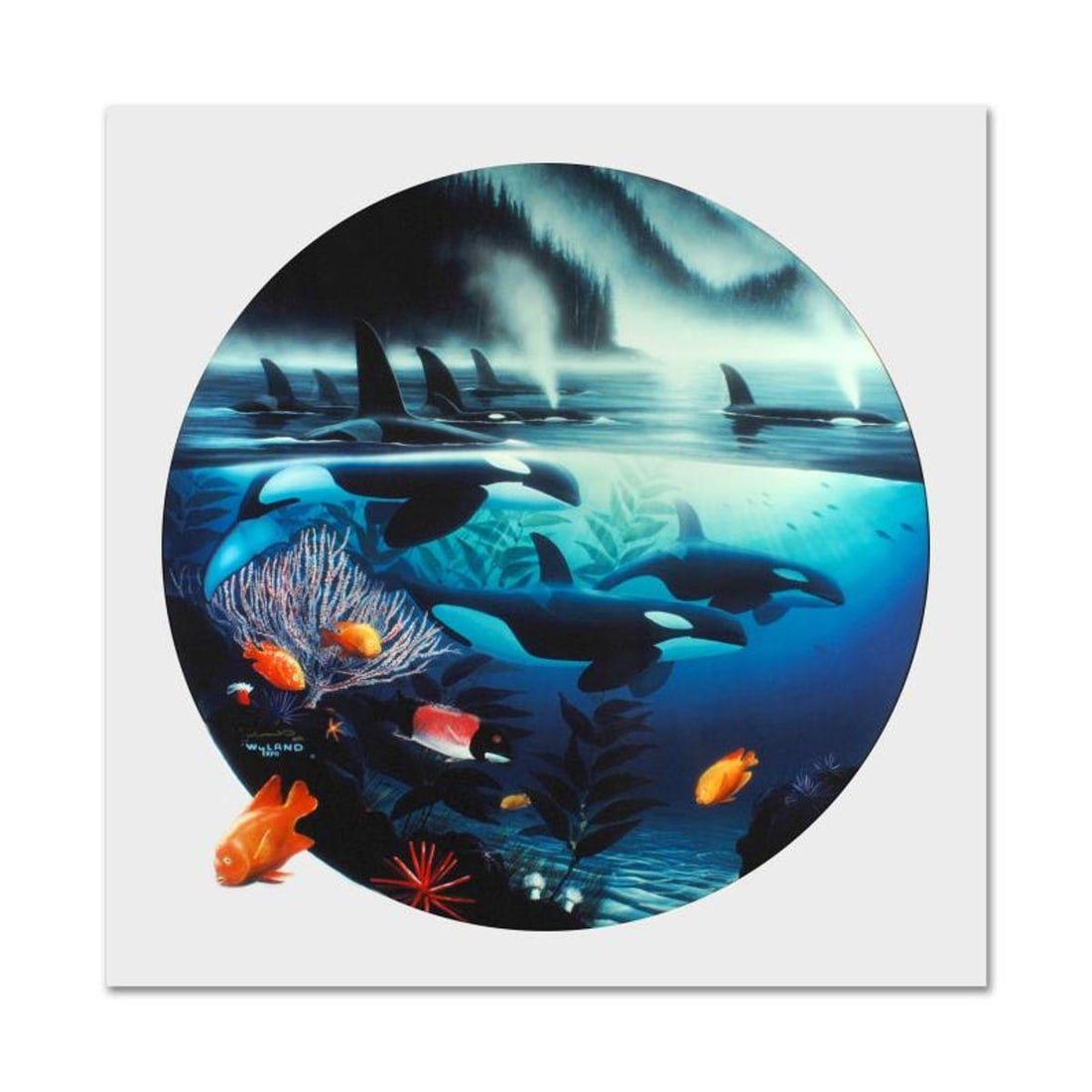 Wyland, "Orca Journey" Limited Edition Cibachrome, Numbered and Hand Signed with Certificate of (1 of 2)