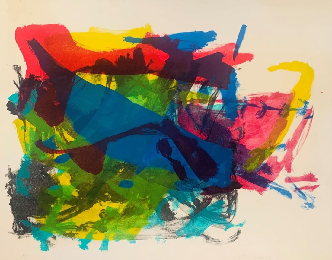 Robin Shapiro- Limited edition lithograph on paper (1 of 1)