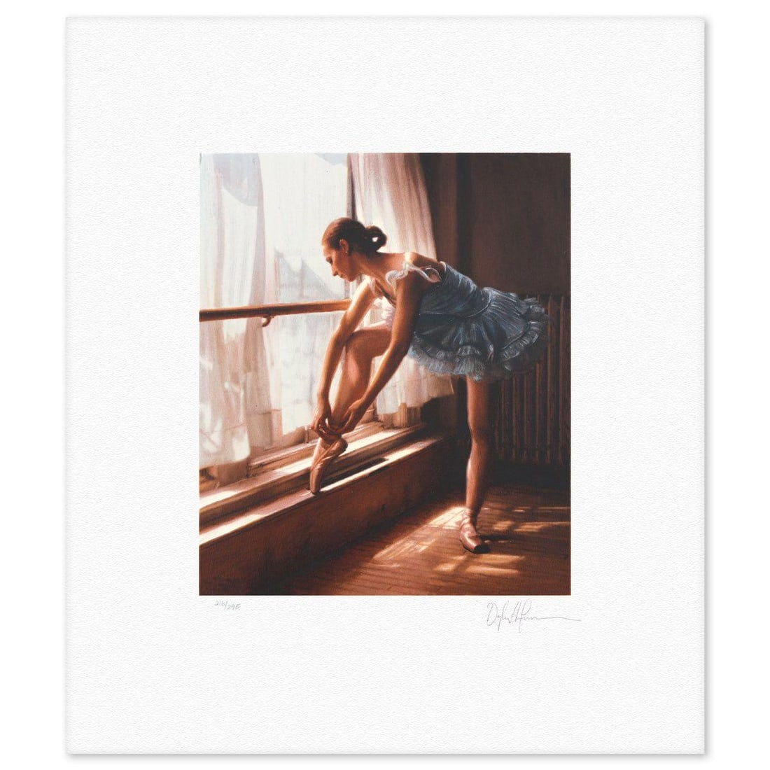 Douglas Hofmann- Silkscreen "Reflection Portfolio l" (1 of 4)