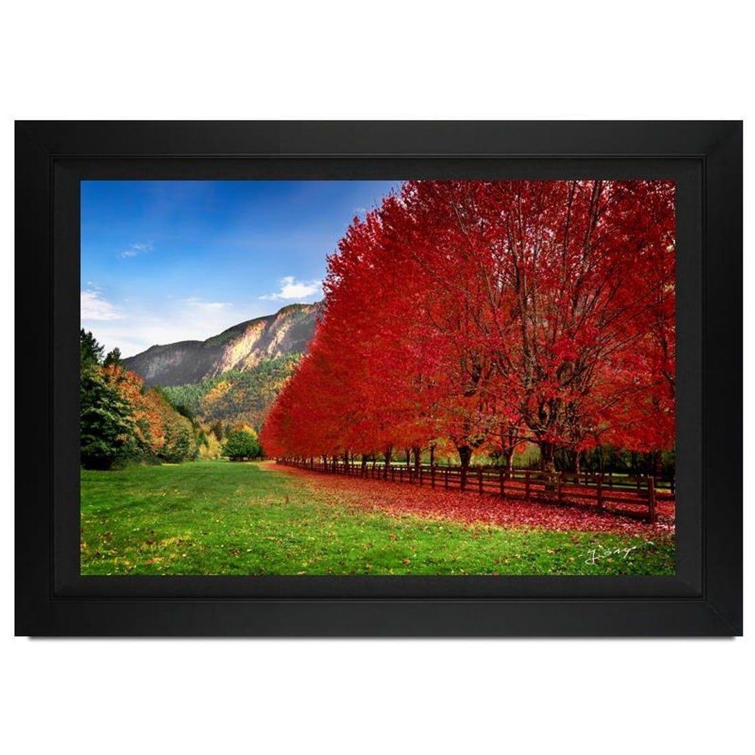 Jongas, "Homestead" Framed Limited Edition Photograph on Canvas, Numbered and Hand Signed with (1 of 1)