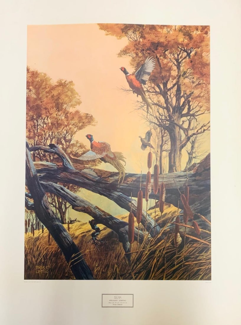 Bruce Lattig- Offset lithograph on paper: Artist: Bruce Lattig. Medium: Offset lithograph on paper. Size: 28" x 38". Reference#: 48218.