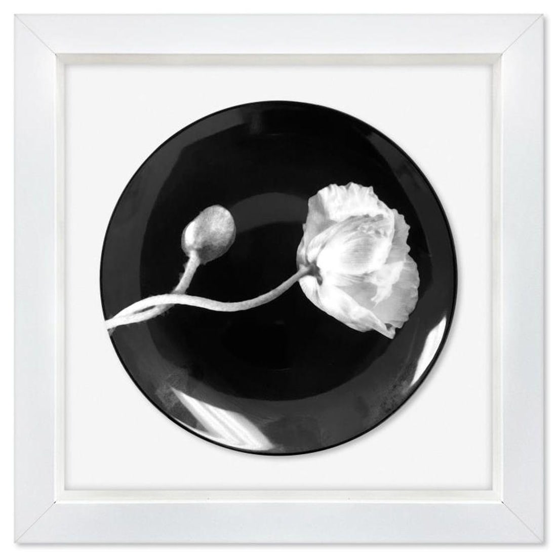 Robert Mapplethorpe (1946-1989), "Poppy (1988)" Framed Limoges Porcelain Plate. (1 of 2)