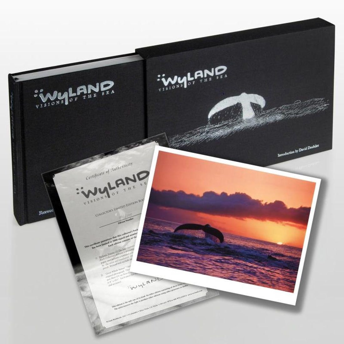 Wyland: Visions Of The Sea (2008) Limited Edition Collector's Fine Art Book by World-Renowned Artist: Wyland's exquisite and colorful paintings are expressive, emotive and world-famous. "Wyland: Visions Of The Sea" (2008) is a deluxe Collector's Fine Art hardcover book: 360 pages of full color text an