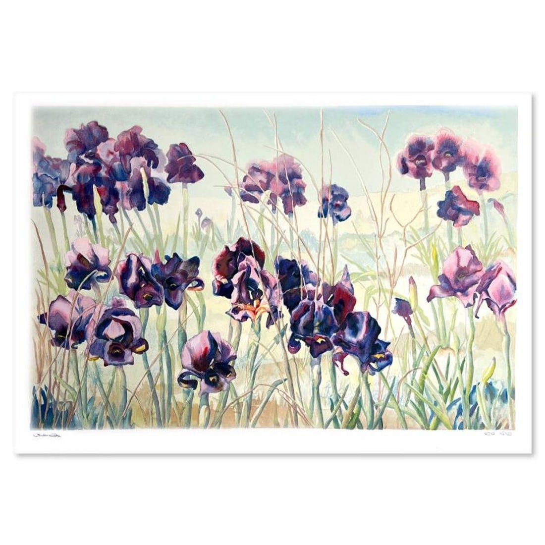 Perla Fox, "Iris" Hand Signed Limited Edition Serigraph with Letter of Authenticity.: Iris is a limited edition serigraph on paper by Perla Fox. The piece comes hand signed by the artist, numbered, and with a letter of authenticity. Measures approximately 20" x 29.5". Reference#: 90540