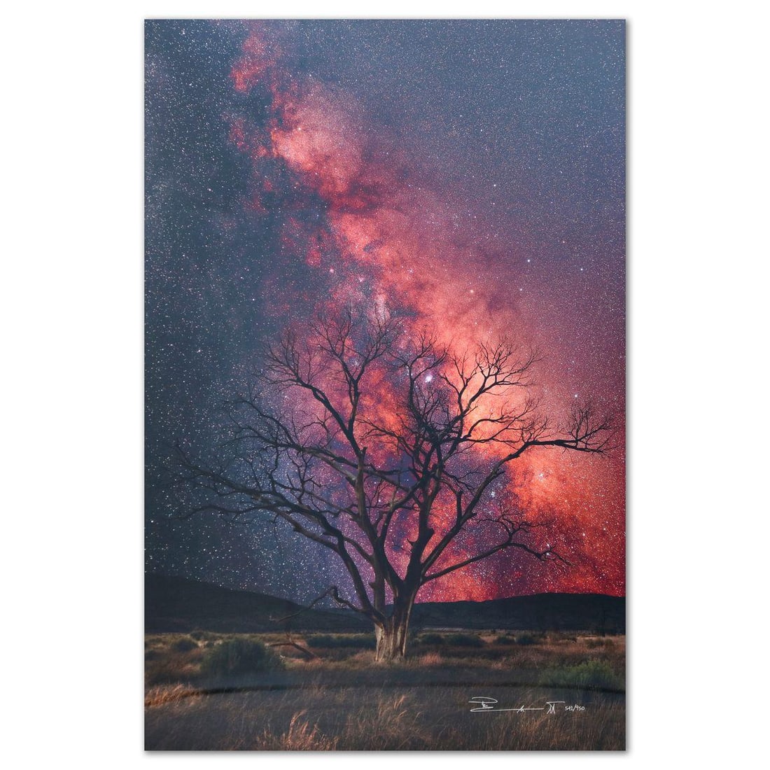 Peter Lik- Limited Edition Photograph "Stargazer" (1 of 3)