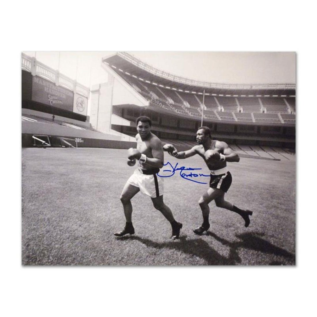 Ken Norton and Ali, Yankee Stadium 40" x 30" Sports Collectible Hand-Signed by Ken Norton: Perfect for any boxing enthusiast, "Ken Norton and Ali, Yankee Stadium" commemorates the world-famous boxing matches between Ken Norton and Muhammad Ali. This photograph is hand-autographed by multi-t