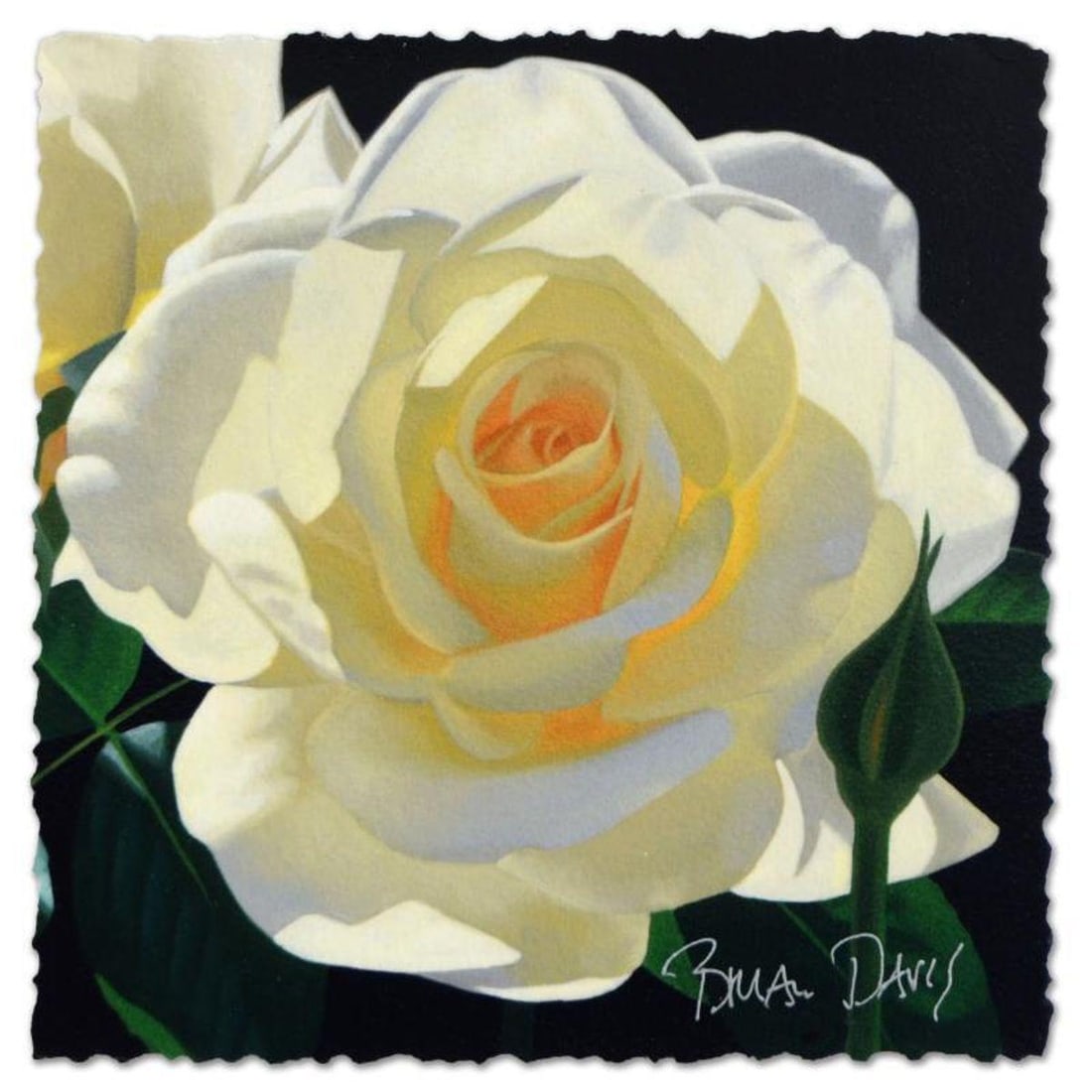 Brian Davis, "Contemporary Master in a Grand Tradition (Deluxe)" Limited Edition Fine Art Book,: Brian Davis: Contemporary Master in a Grand Tradition is a limited edition Fine Art book exhibiting and celebrating the artist's career on 135 pages. This book is hand signed and is accompanied by a l