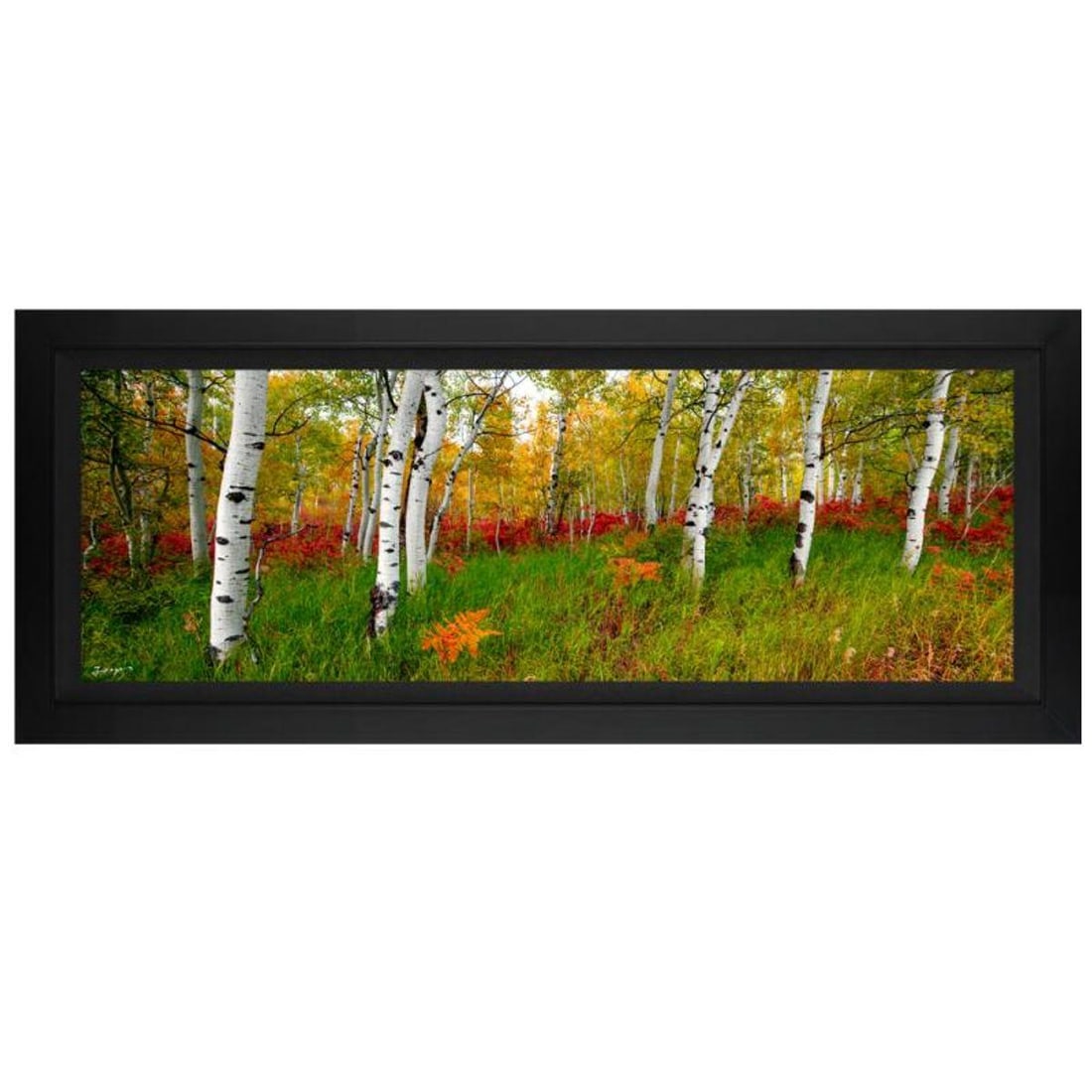 Jongas, "Autumn Fresh" Framed Limited Edition on Canvas, Numbered and Hand Signed with Letter of (1 of 1)