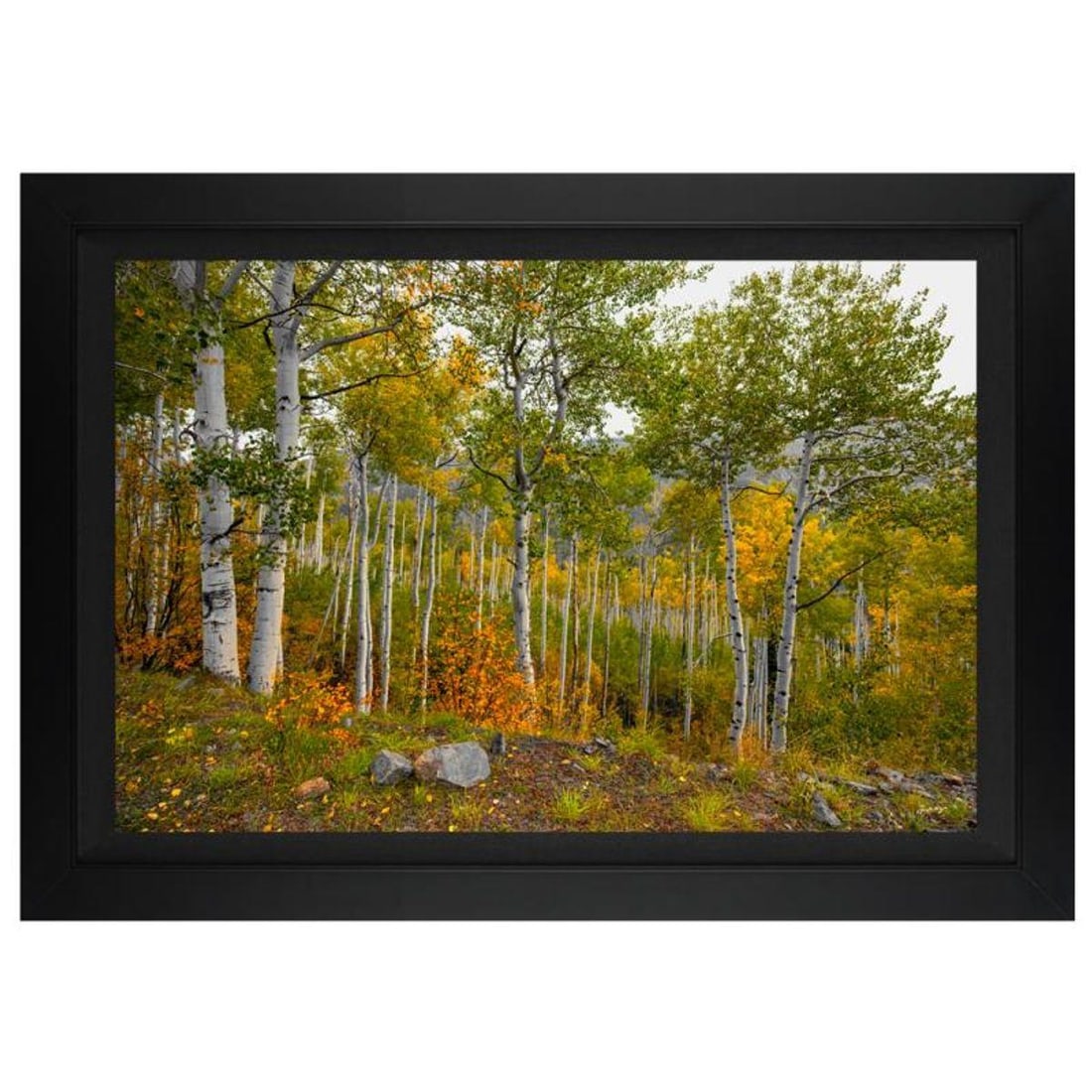 Jongas, "Colorado Garden" Framed Limited Edition on Canvas, Numbered and Hand Signed with Letter of: Colorado Garden is a limited edition giclee on canvas by photographer Jongas, numbered and hand signed by the artist. The piece comes custom framed and includes Letter of Authenticity. Measures approx