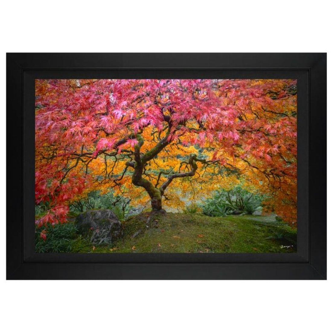 Jongas, "Full of Life" Framed Limited Edition on Canvas, Numbered and Hand Signed with Letter of (1 of 1)