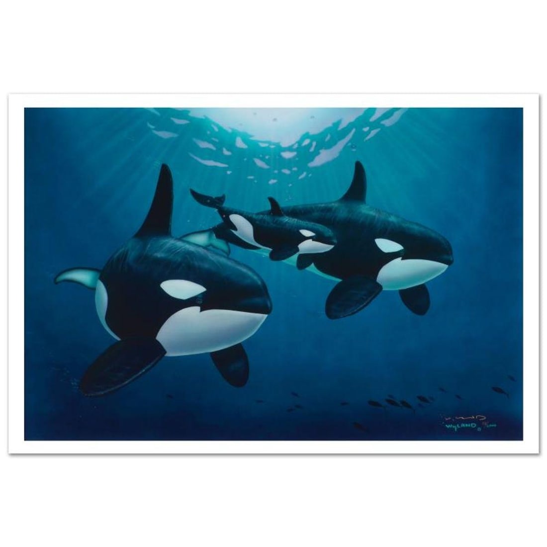 Wyland, "Orca Calling" Hand-Embellished AP Limited Edition Cibachrome. Hand Signed and with Letter: Orca Calling is a hand-embellished limited edition cibachrome from an AP edition by Wyland. The piece is hand signed and includes a letter of authenticity. Measures approx. 30" x 20" (image). Referenc