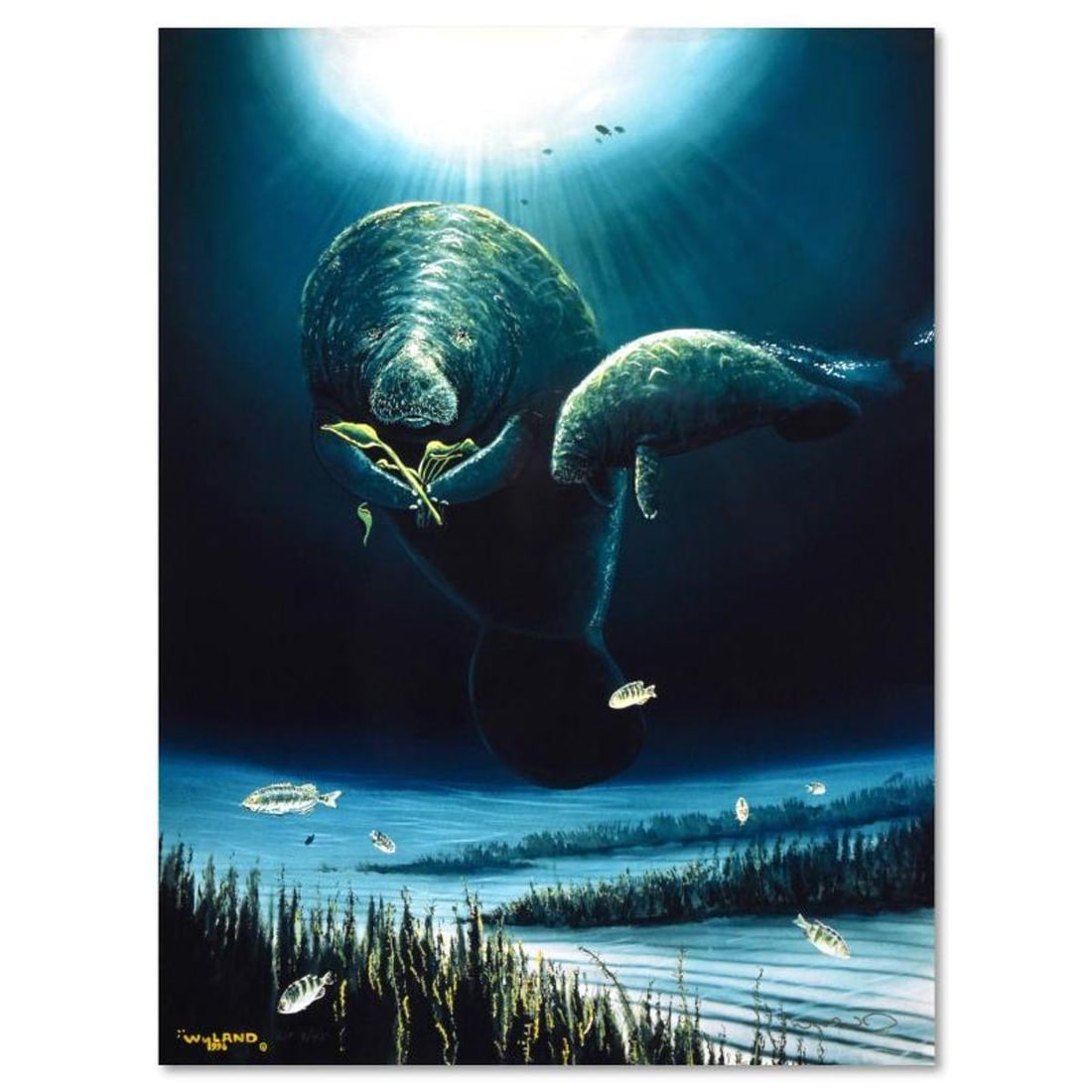 Wyland, "Save the Manatees" Hand Embellished Limited Edition Cibachrome, Numbered and Hand Signed: Save the Manatees is a hand embellished limited edition cibachrome, numbered and hand signed by Wyland. Includes Certificate of Authenticity and measures approximately 18" x 24" (image). Due to the na