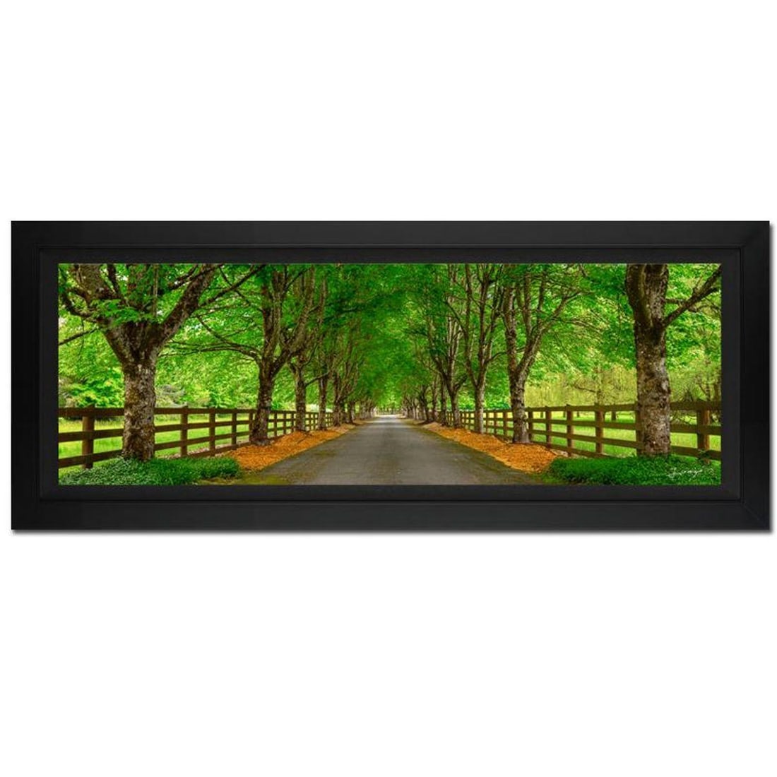 Jongas, "Whispers Spring" Framed Limited Edition Photograph on Canvas, Numbered and Hand Signed with (1 of 1)
