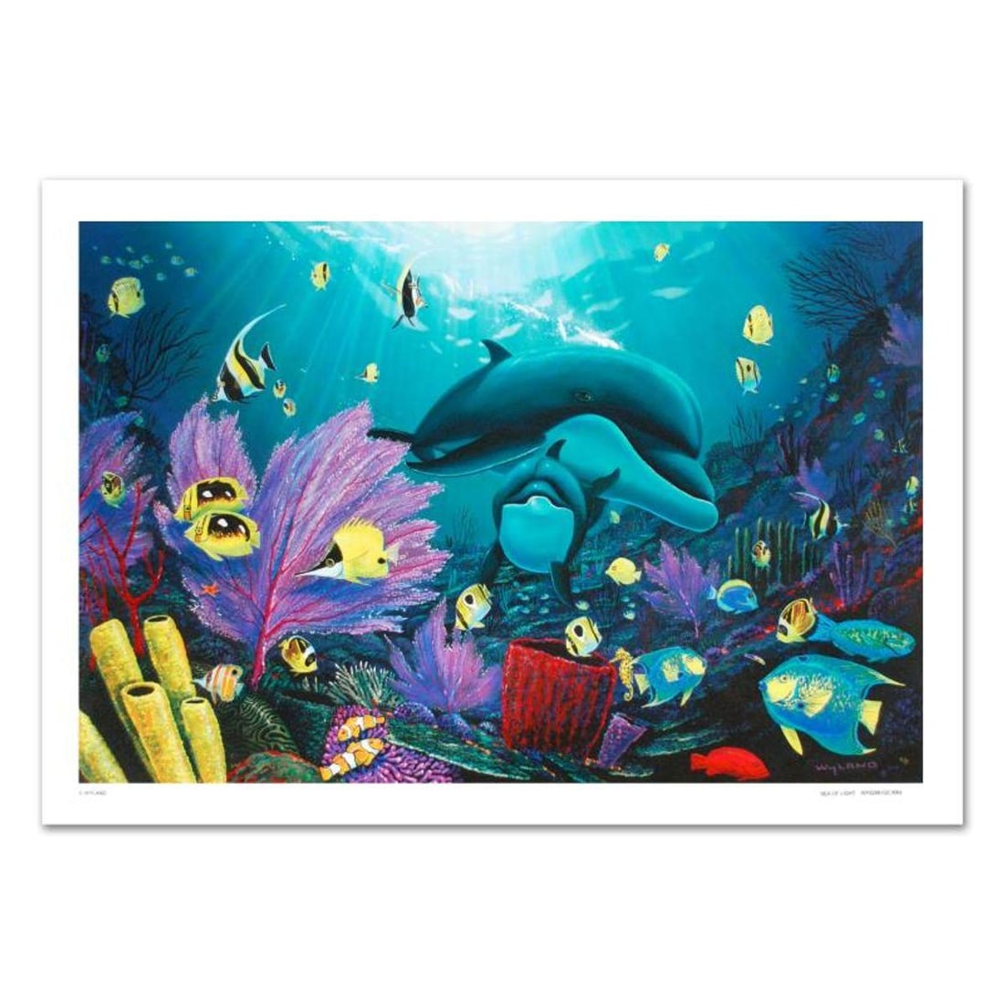 Sea of Light Limited Edition Giclee on Canvas (36" x 24") by renowned artist WYLAND, Numbered and: Wyland's true love for nature is so clearly conveyed in each of his brilliantly detailed works. "Sea of Life" is a limited edition giclee on canvas, numbered and hand signed by Wyland! Includes Certif