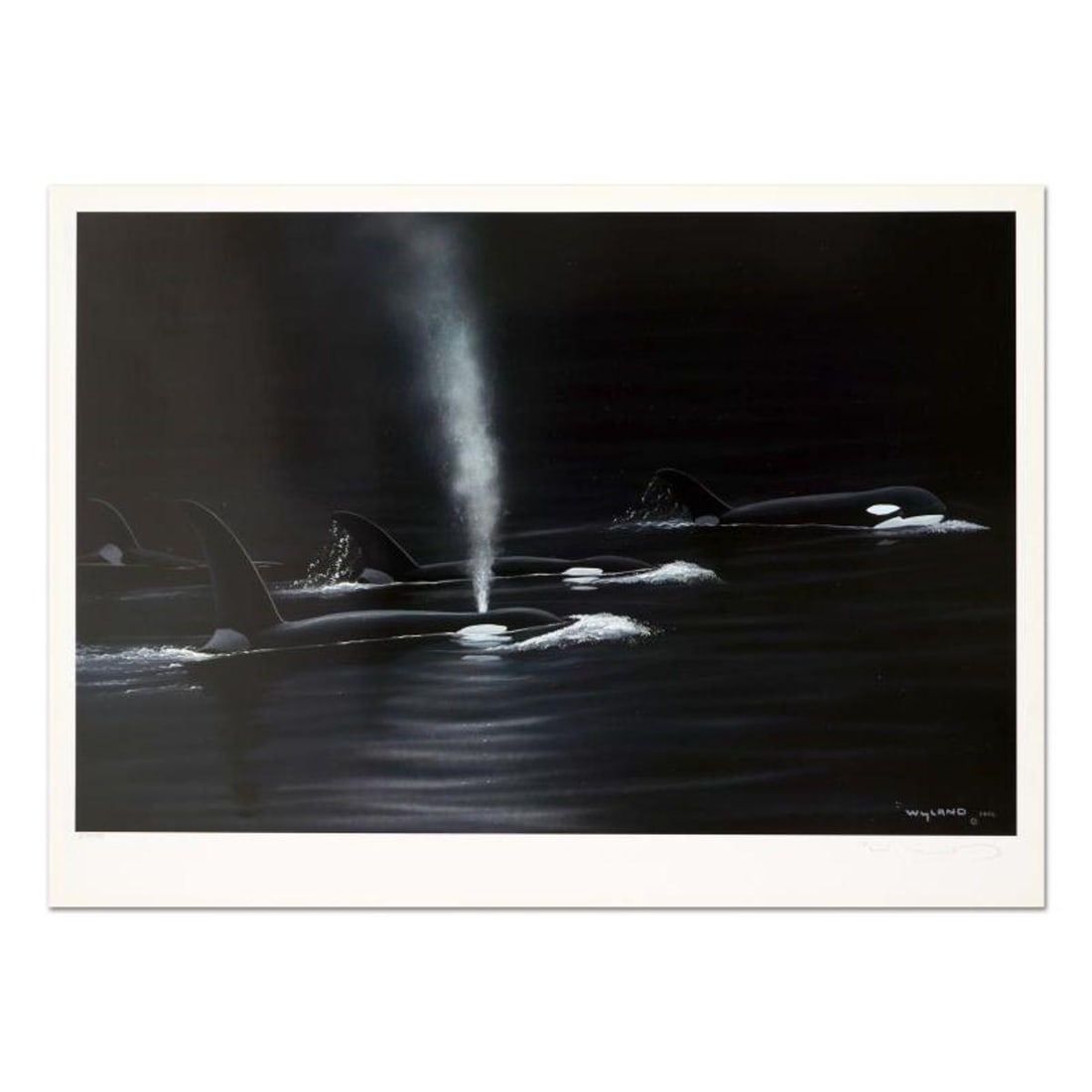 Wyland, "Ancient Orca Seas" Limited Edition Lithograph, Numbered and Hand Signed with Certificate of: Ancient Orca Seas is a limited edition lithograph on paper by Wyland, numbered and hand signed by the artist. Includes Certificate of Authenticity. Measures approx. 26" x 19" (border), 24.5" x 16" (im