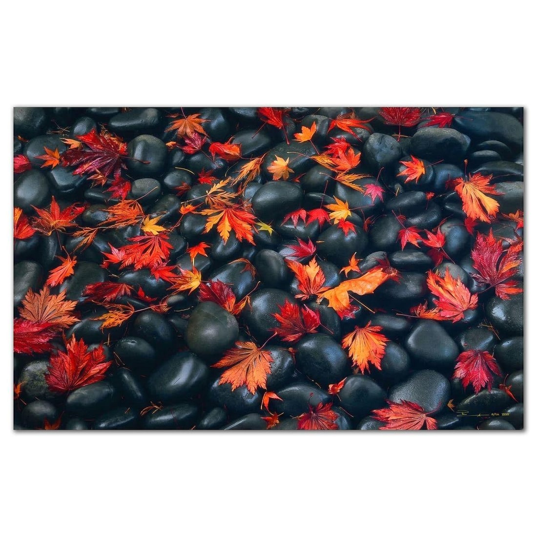 Peter Lik- Limited Edition Photograph "Autumn Moods" (1 of 4)