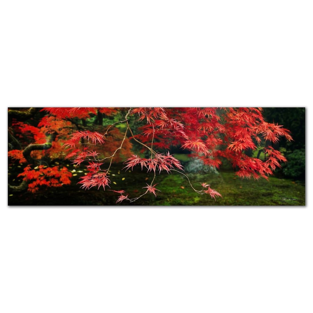 Peter Lik- Limited Edition Photograph "Autumns Flame": Artist: Peter Lik. Medium: Limited Edition Photograph. Title: Autumns Flame. Size: 37" x 110". Signature: Hand signed and numbered. Certificate of Authenticity: Is included. Additional: Acquired from 
