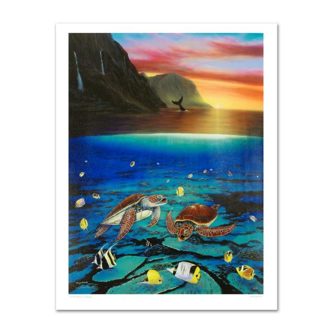 Ancient Mariner Limited Edition Giclee on Canvas (30" x 40") by Renowned Artist Wyland, Numbered and: Wyland's boundless love of nature is clearly conveyed in each of his works with exacting detail. "Ancient Mariner" is a limited edition giclee on canvas, numbered and hand signed by Wyland! Includes C