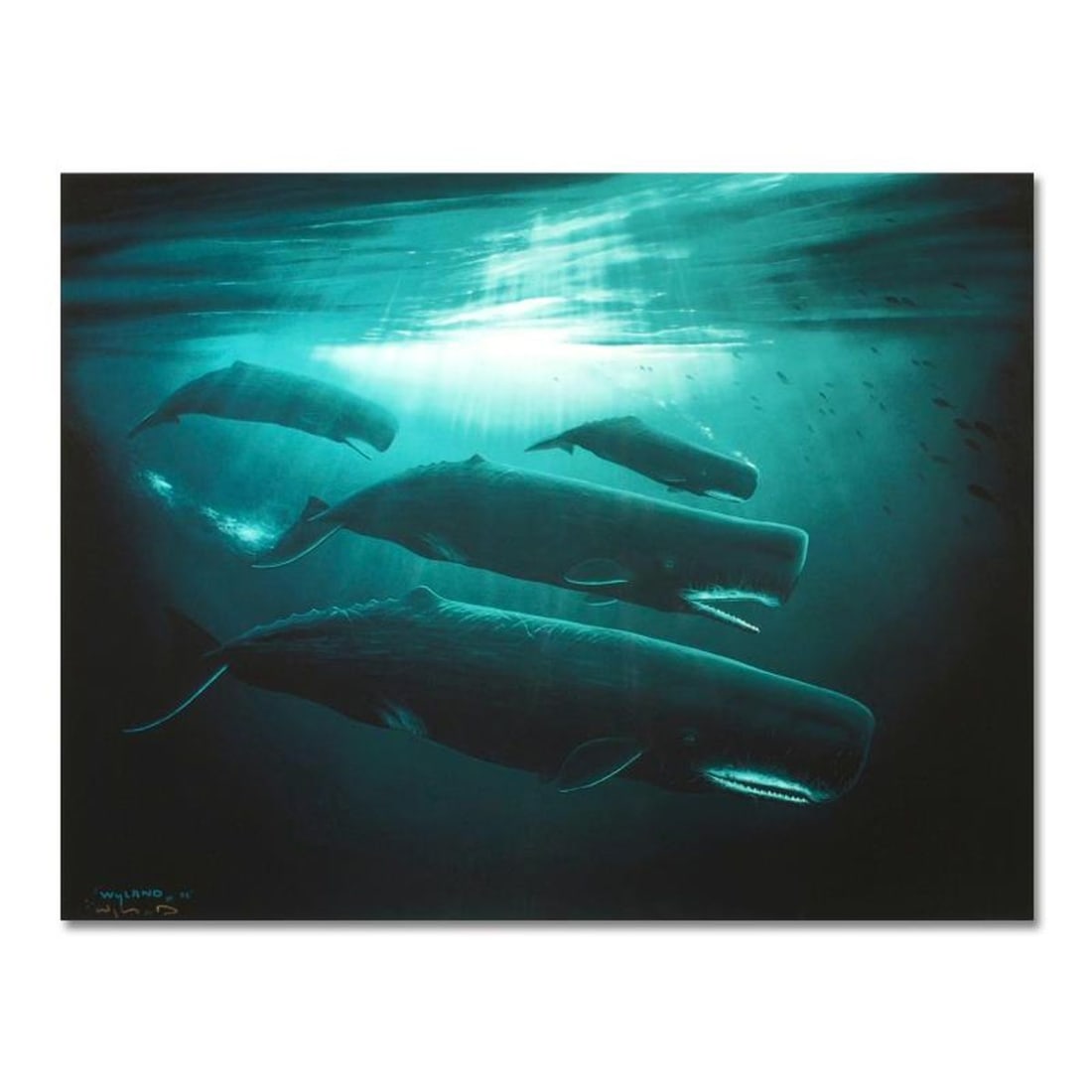 Wyland, "The Great Sperm Whale" Hand Embellished Limited Edition Cibachrome, Numbered and Hand: The Great Sperm Whale is a hand-embellished limited edition cibachrome, AP numbered and hand signed by Wyland! Includes Certificate of Authenticity! Measures approx. 30" x 22" (image). Due to the natu