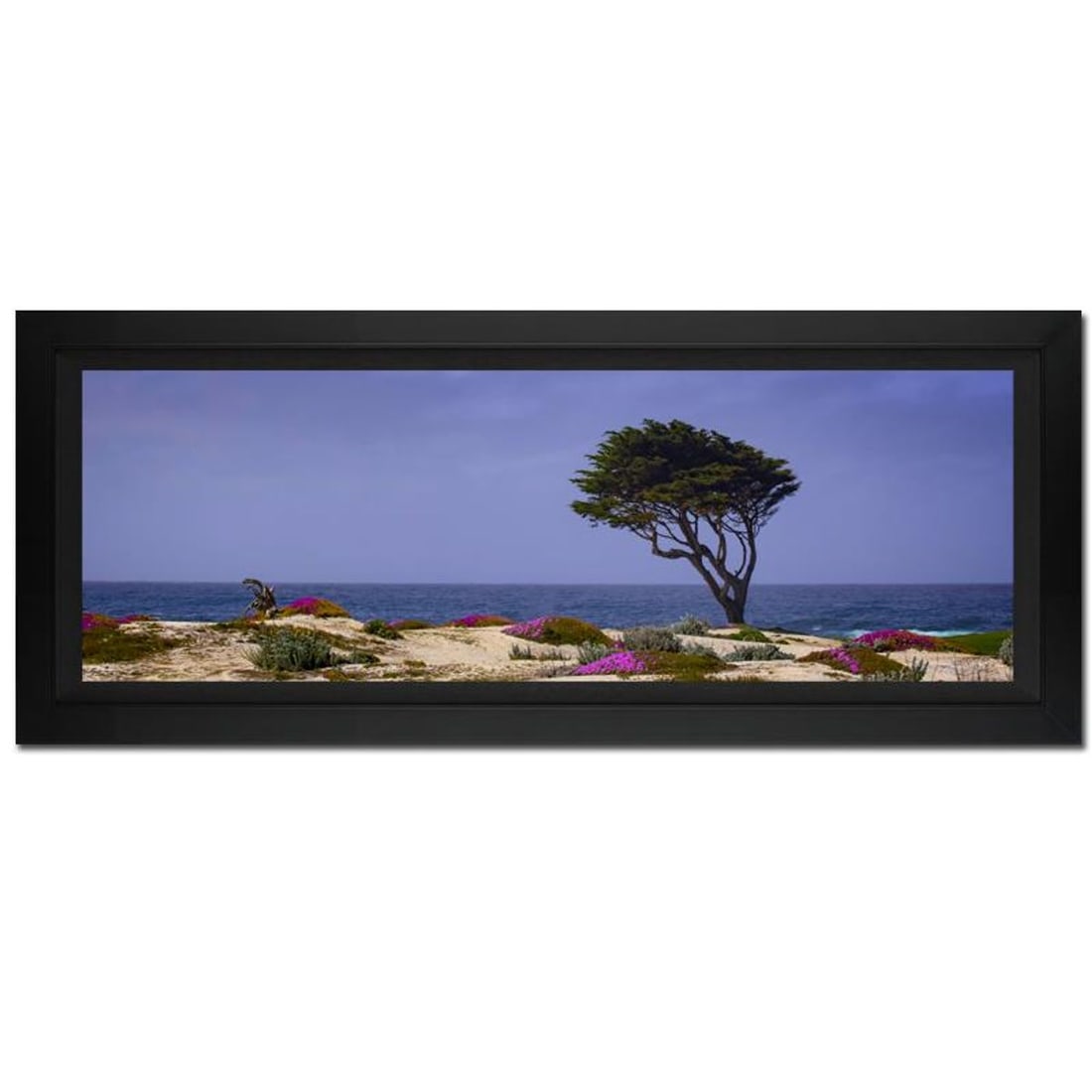 Jongas, "Relentless" Framed Limited Edition Photograph on Canvas, Numbered and Hand Signed with (1 of 1)