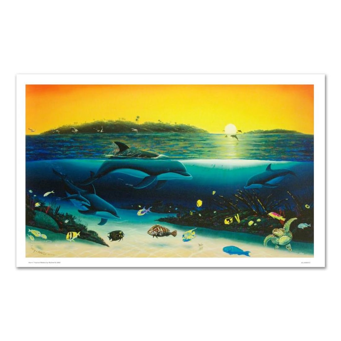 Warm Tropical Waters Limited Edition Giclee on Canvas (43" x 26") by Renowned Artist Wyland,