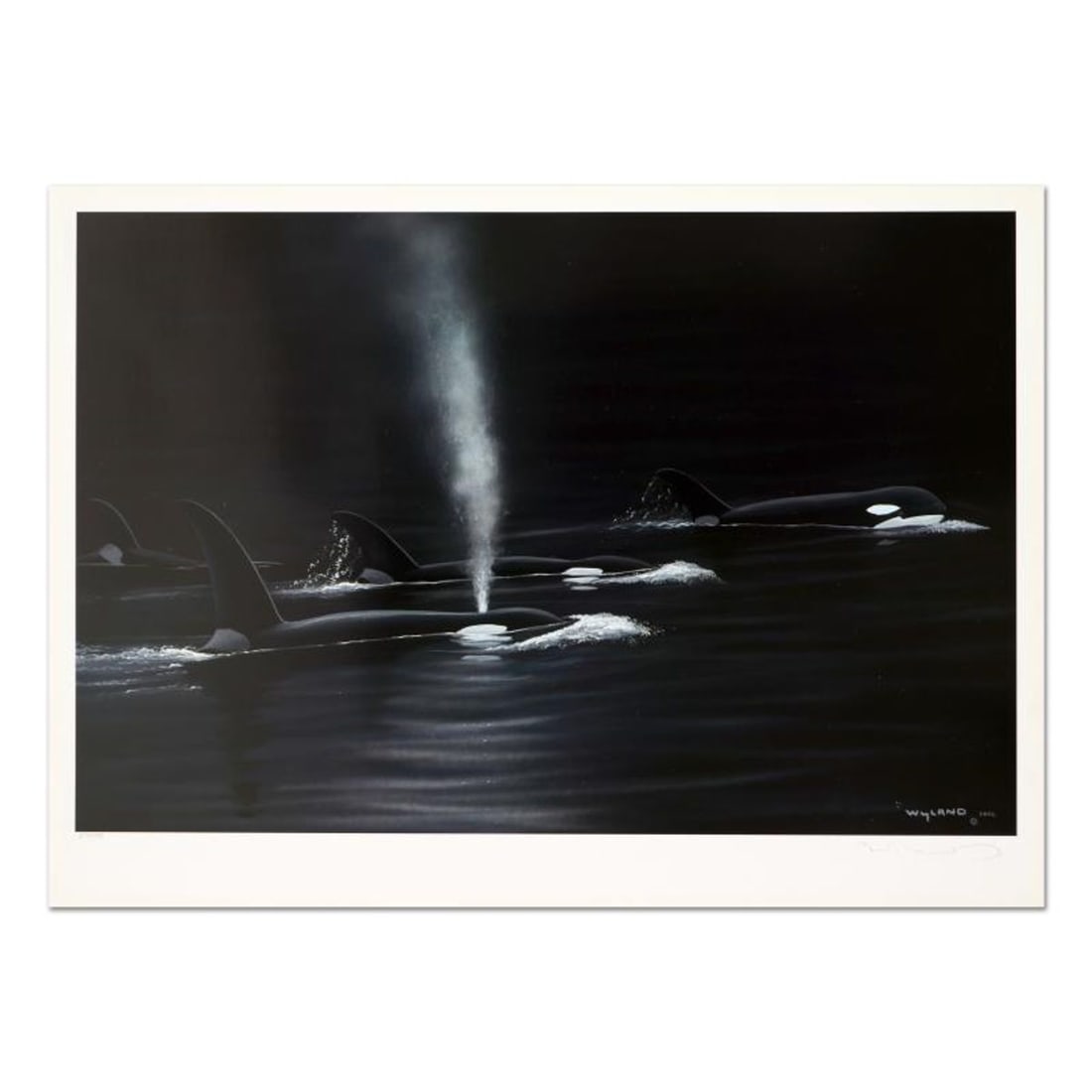Wyland, "Ancient Orca Seas" Limited Edition Lithograph, Numbered and Hand Signed with Certificate of: Ancient Orca Seas is a limited edition lithograph on paper by Wyland, numbered and hand signed by the artist. Includes Certificate of Authenticity. Measures approx. 26" x 19" (border), 24.5" x 16" (im
