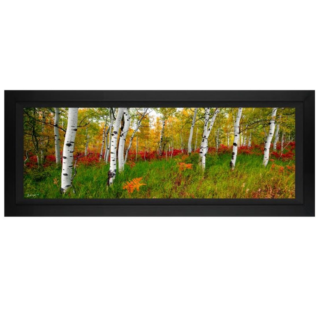 Jongas, "Autumn Fresh" Framed Limited Edition on Canvas, Numbered and Hand Signed with Letter of: Autumn Fresh is a limited edition giclee on canvas by photographer Jongas, numbered and hand signed by the artist. The piece comes custom framed and includes Letter of Authenticity. Measures