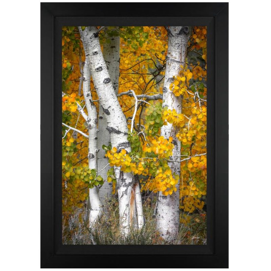 Jongas, "Fall is Over" Framed Limited Edition on Canvas, Numbered and Hand Signed with Letter of: Fall is Over is a limited edition giclee on canvas by photographer Jongas, numbered and hand signed by the artist. The piece comes custom framed and includes Letter of Authenticity. Measures approxima