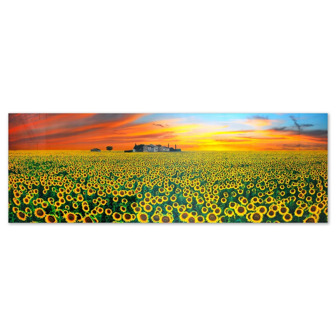 Peter Lik- Limited Edition Photograph "Summer Romance" (1 of 3)