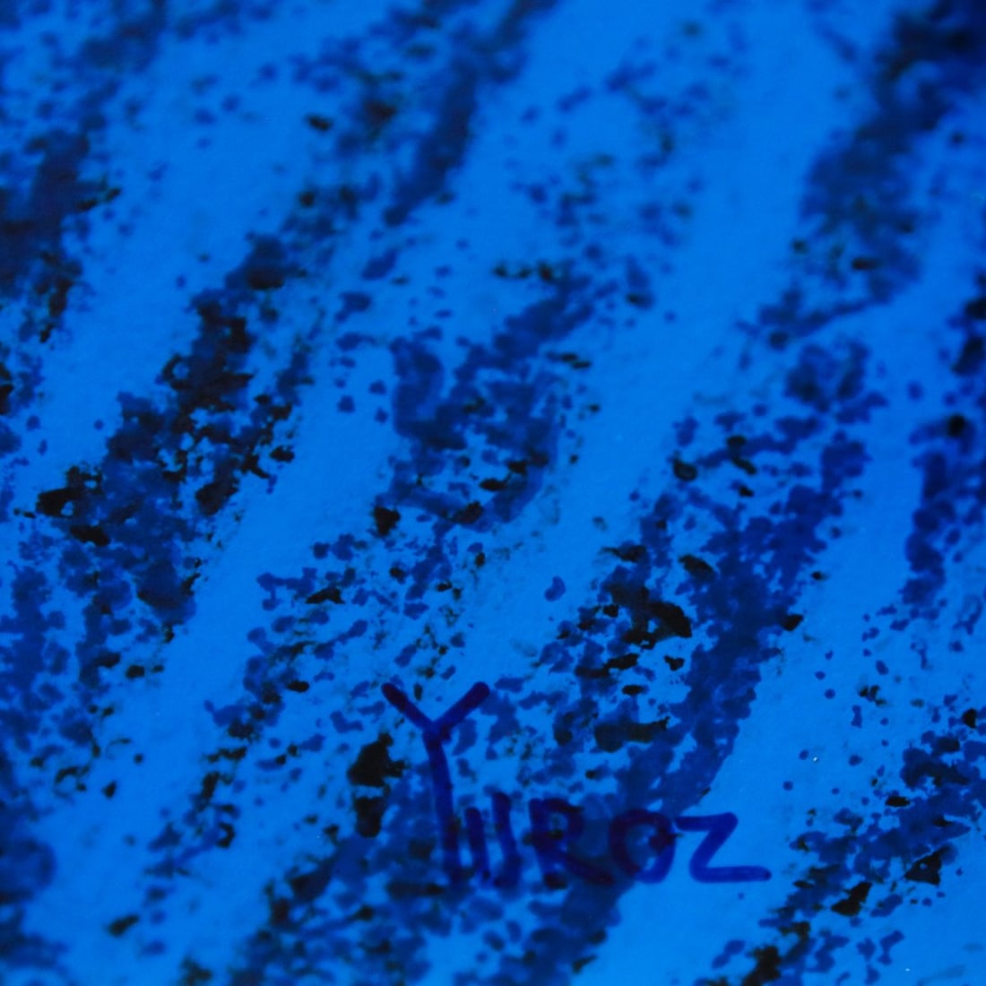 Yuroz- Serigraph "Wind" - 2
