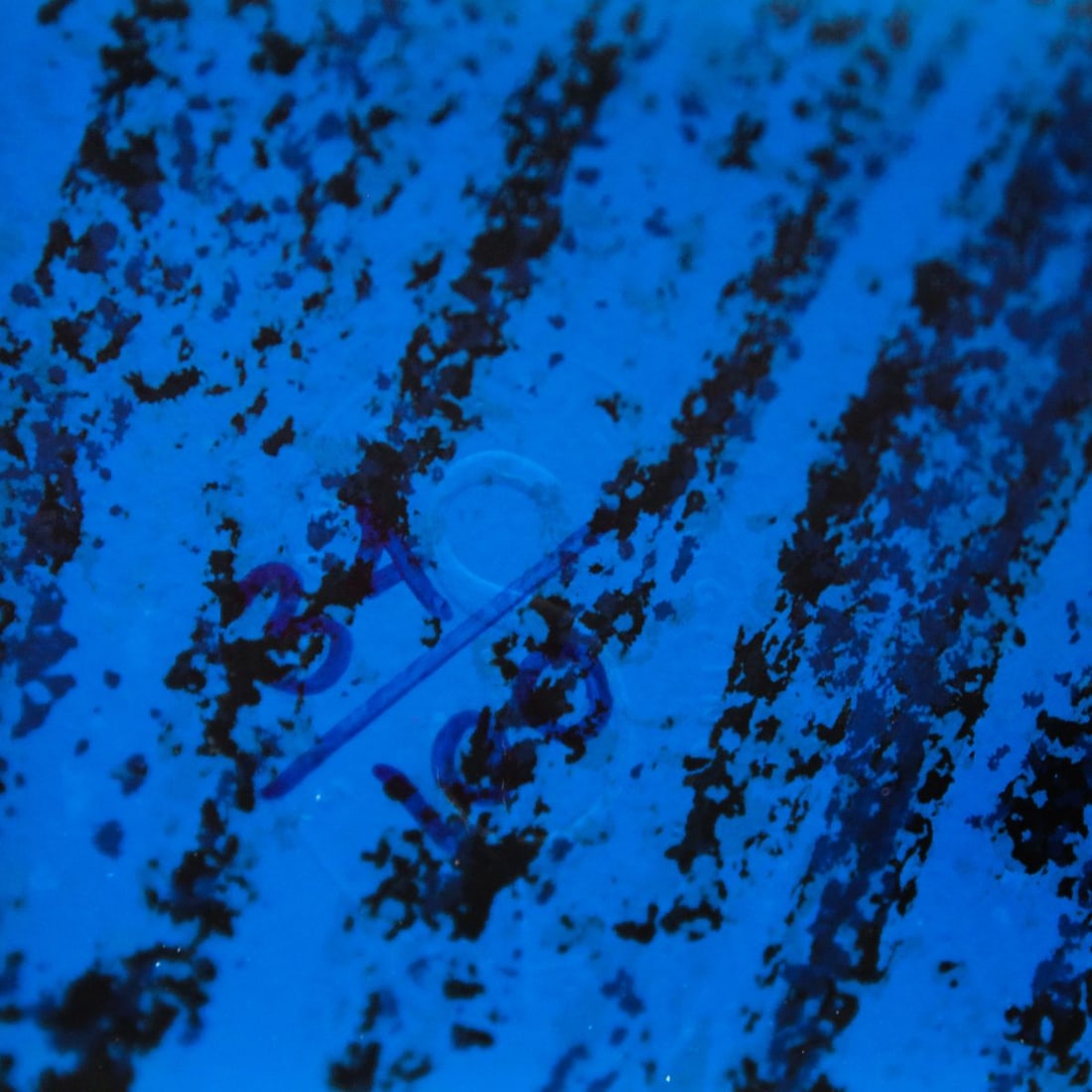 Yuroz- Serigraph "Wind" - 3