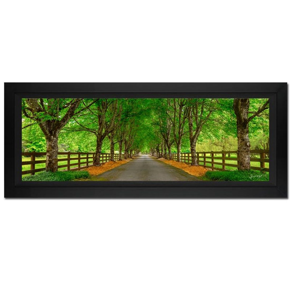 Jongas, "Whispers Spring" Framed Limited Edition Photograph on Canvas, Numbered and Hand Signed with: Whispers Spring is a limited edition giclee on canvas by photographer Jongas, numbered and hand signed by the artist. The piece comes custom framed and includes Letter of Authenticity. Measures approx